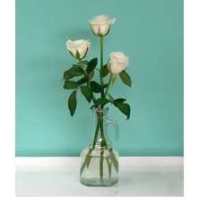 Magnificent White - 3 Stems Vase